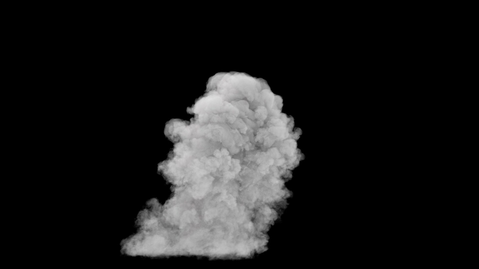 VDB Smoke Burst VFX 3D Asset